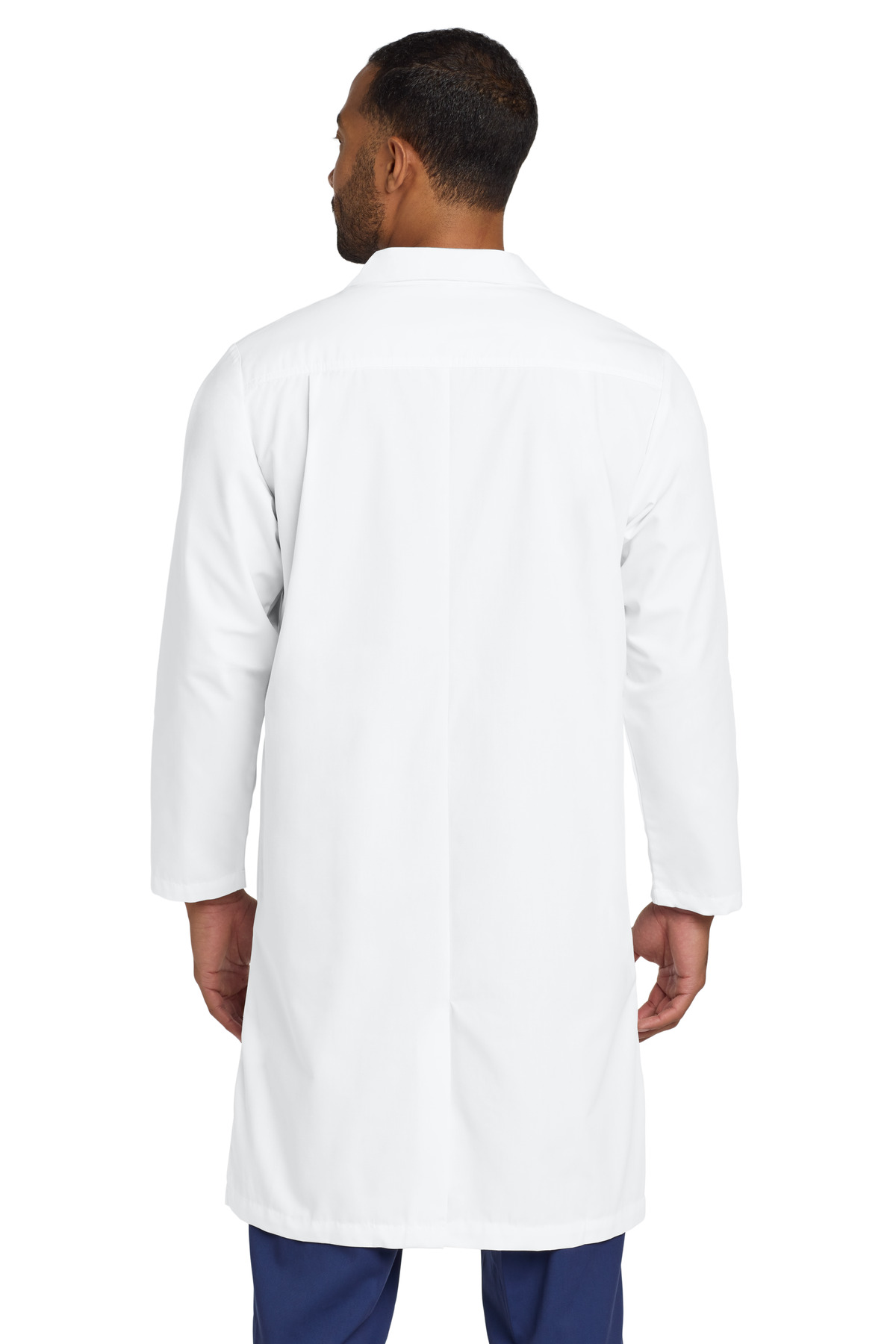 Model Back