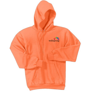 Port & Company® Core Fleece Pullover Hooded Sweatshirt - PC78H (Black Rainbow Logo)